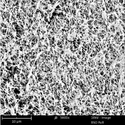 China Membrana de PTFE hidrofóbico microporoso de tamaño de poro 0,05 - 0,45 con capa de soporte en venta