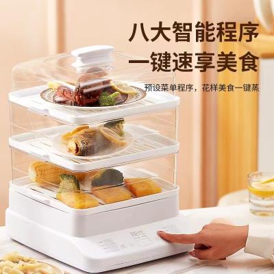 China Customized High Quality Baby Hot Electric Steamer Plastic Food Grade Micro Food Hot Dog Portable Steamer Machine for sale