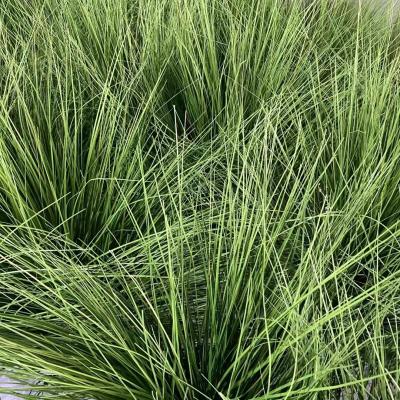 China Mall Hotel Gym Wholesale Price Fake Stipe Grass Tubular Grass Green Grass Reed For Sale for sale