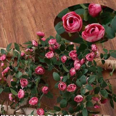 China 2021 cheap price trending products realistic rose vine rose vine decor rose vine garland for sale