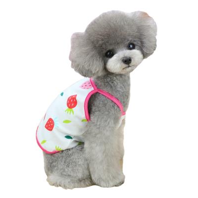 China Viable Dog Clothes Cat Pet Clothes Supplies Spring Summer Cool Breathable Princess Fruit Dog Pet Clothes for sale