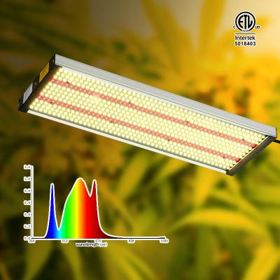 China Seed Starting Full Spectrum Dimmable LED Grow Light For Indoor Hedge Plants Hydroponic Veg Flower for sale