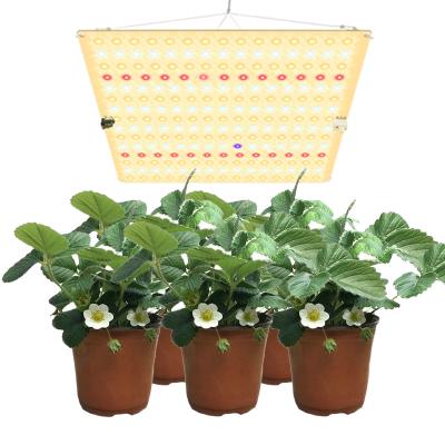 China Other Wholesale Plant Light Led Lamp Indoor Greenhouse Grow Light Led Grow Light System for sale