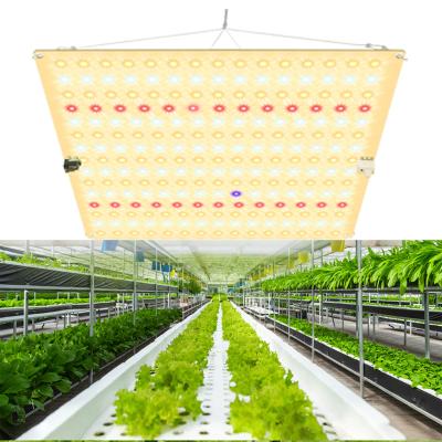 China Other Spectrum 2021 200W Led Grow Lights 720W 630W Led Indoor Grow Light for sale