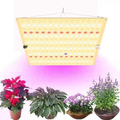 China Other Whole Sales Indoor Greenhouse Factory Led Grow Light Full Spectrum Led Grow Lights for sale