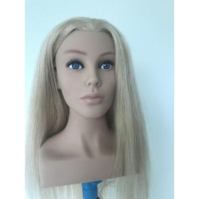 China With Wig Wholesale Price Europe Face Training Mannequin Head With Shoulder For Academy School for sale