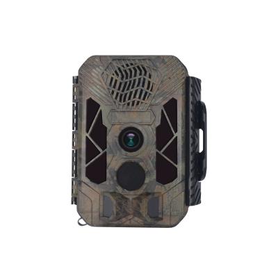 China NIGHT VISION New Arrival Bird Reflector Function Trail Camera 2.7k Chasing Camera for sale