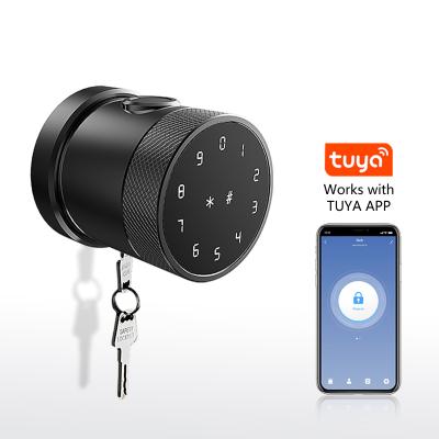 China Aluminum Custom Radio Digital Fingerprint Wifi Electronic Door Lock With Tuya Life Smart APP for sale