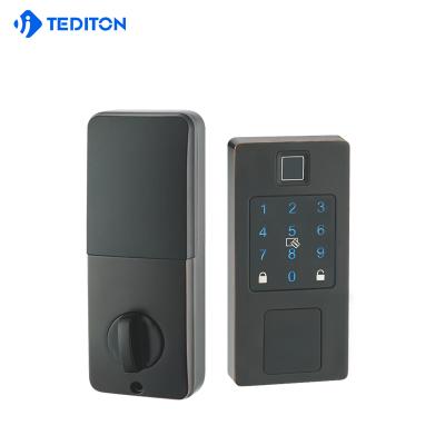 China WiFi Electronic zinc alloy Keyless deadbolt bnb air app lock TTT fingerprint digital lock door for sale