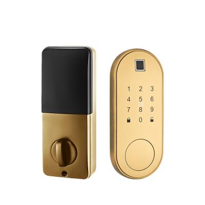 China Zinc Alloy Security Electronic Door Locks With ttlock WiFi Biometric Fingerprint Security Smart Door Lock for sale