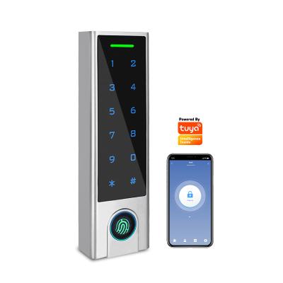 China Tediton Factory Direct Sale Smart Lock Biometric Fingerprint Rfid Wifi 1000 Wifi With Card Reader Access Control for sale