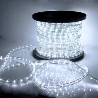 China Commercial Use LED Rope Lights Party Outdoor Waterproof Decorations Street Star DC110V/220V Customize Led Pattern Light Micro Customized for sale