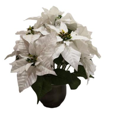 China flower artificial flower velvet silk poinsettia with pot for home decor CZ5091W-P for sale