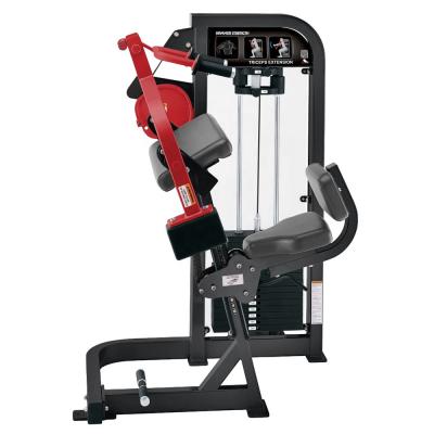 China Central Gym CE Certificated Lifefitness Fitness Equipment With 3mm Steel Tube for sale