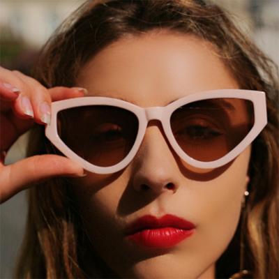 China Vintage Small Cat Eye Sunglasses New Fashion Eyewear Women's Fashion Sunglasses Retro for sale