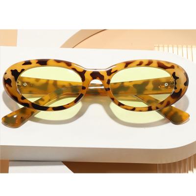 China Fashion Sunglasses Shape 2023 Vintage Retro Small Plastic Oval Sunglasses for sale