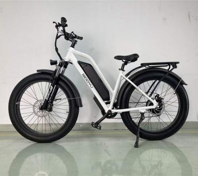 China Aluminum Alloy Frame Electric Bicycle E-Bike 48V750W Fat Tire E-Bike for sale