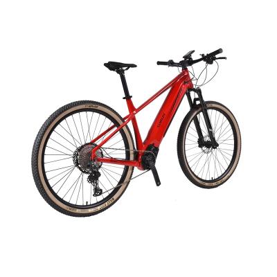 China Aluminum alloy low price aluminum alloy anti slip bicycle lithium battery electric adult electric bike for sale