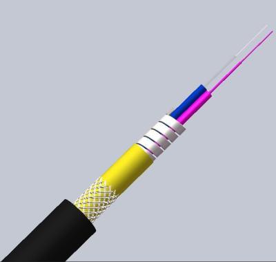 Κίνα LSZH Jacket 5.0mm OS2 G652D Singlemode Armored Fiber Optic Cable for Networks προς πώληση