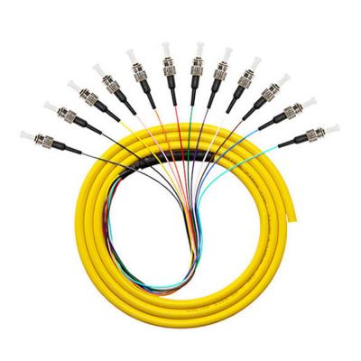 Cina 12 Cores 12F 9/125 0.9mm ST Singlemode FTTH Fiber Optic Pigtail Wavelength 1310nm in vendita