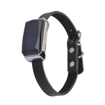 China Plastic+Metal HTech G12 G12P Buckle Design For Your Smart Locator Pet GPS Tracker for sale