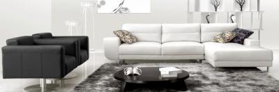 China modern leather sofa for sale