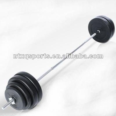 China China New Products Cheap Custom High Quality Cement Barbell Set XQ-BS008 for sale