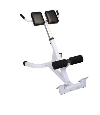 China Gym Safe Roman Chair Abdominal Extension Back Ab Exercise Bench Hyperextension for sale