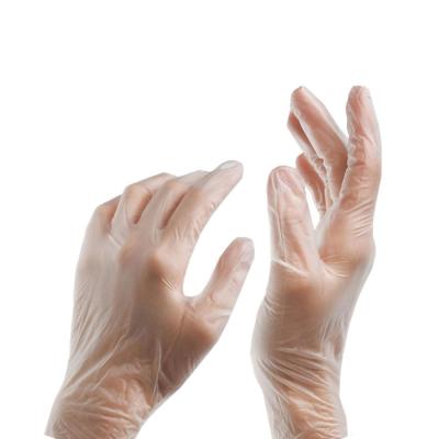 China Best selling products latex and powder free clear disposable vinyl pvc gloves with ISO and CE for sale