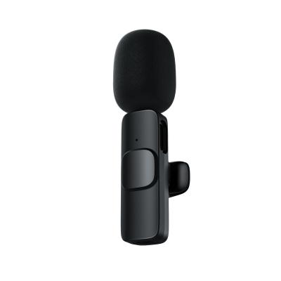 China Microphone Handheld Built-in Microphone Type-C Mini Lavalier Wireless Microphone for sale