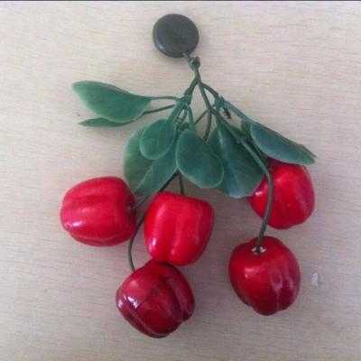 China Plastic plant fruit magnet for home decor for sale