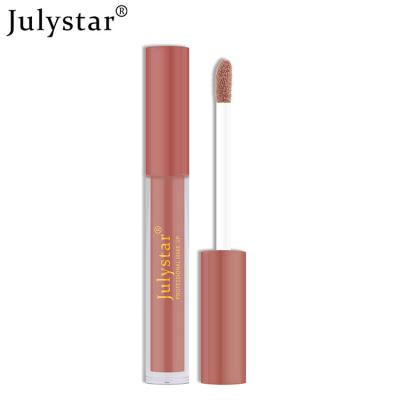 China Water Proof Matte Liquid Matte Private Label Custom Lip Gloss Lip Sets for sale