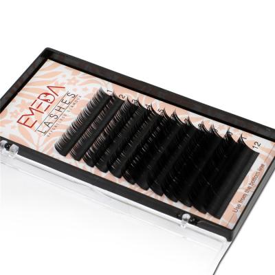 China Korean High Quality Synthetic Hair PBT Glow Eyelash Extensions Neicha for sale