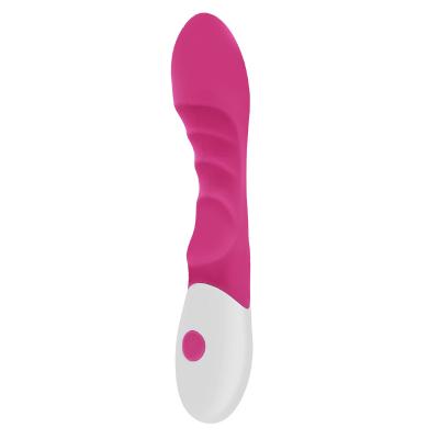 China Rechargeable Personal Waterproof Handheld Wireless Rechargeable Clitoris Massager /Breast Stimulator /Breast Stimulator Magic Wand Sex Toys Adult Product for sale