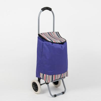 China Mini Folding Trolley 2022 Cute Collapsible Shopping Bag For Kids for sale