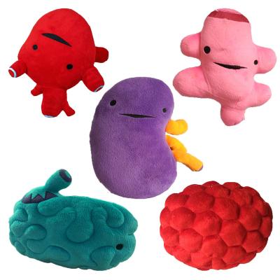 China Home Decoration Simulated Body Organ Heart Brain Liver Kidney Plush Toys Stuffed Dolls for sale