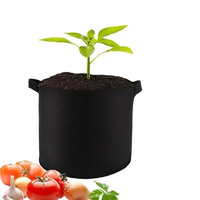 China Hot Selling Long Life Mushroom Grow Bag Spawn Mushrooms Seeds Spread To Grow Bags for sale