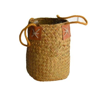 China Plant Plankton Craft Derco Rattan Wholesale Handmade Wicker Homeware Woven Flower Pot for sale