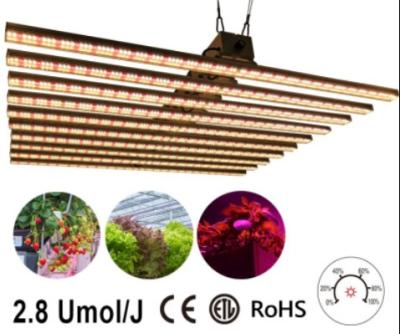 China la planta de 1000W LED crece la luz 10 en un tamaño multifuncional FORZATEC de 4 * de los 3.5ft en venta