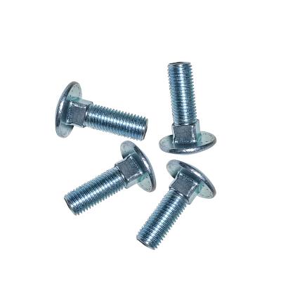 China Stainless Steel Mushroom Head Coach Bolts Long Neck Carriage Bolt for sale