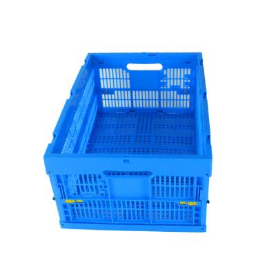 China Mesh JOIN Trade Assurance Vendor Plastic Folding Crate For Fruits And Vegetables for sale