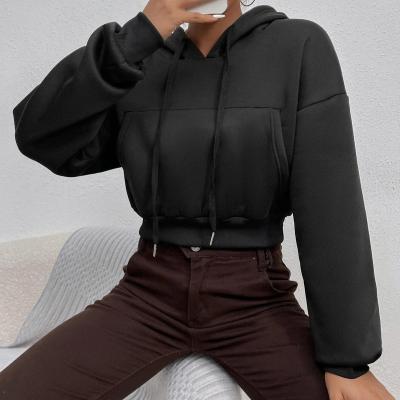 China Fashion Breathable High Quality Women Long Sleeve Yoga Tops Yoga Hoodie Sports Wear Sportswear Fitness Yoga Clothing for sale