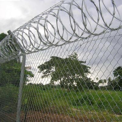 China Q195 2.0mm-2.8mm Barbed Wire Fence Roll Farm Low Carbon Steel Hot Selling Protective Fence With Low Price for sale