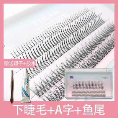 China Glitter & False Eyelashes Female Shimmery A Faerie Single Group Segmented Natural Simulation C Distorted 0.07mm Grafted Eyelashes for sale