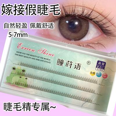 China Different Volume Shape YY W V Y Anti Allergy False Eyelashes W Weave Private Label 20D 30D Lash Clover Lashes Extension for sale