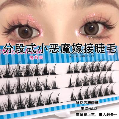 China Glow in the Natural Simulation of Cos False Eyelashes Segmented Dark Warm Little Devil Type Grafting Group Single Eyelashes for sale