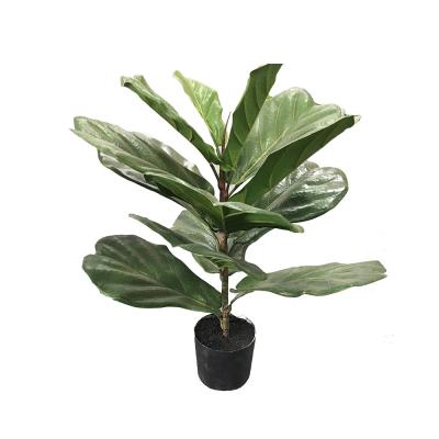 China Customized Realistic Eco-friendly Artificial Ficus Tree Lyrata For Indoor And Outdoor Decoration Faux Violin Leaf Fig Tree for sale