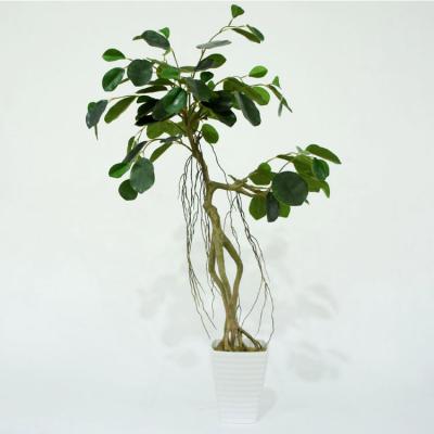 China Wholesale Direct Wholesale Mini Fake Banyan Tree Bonsai Plant Look Decoration Natural Outdoor Indoor Artificial Plant Hookeriana for sale