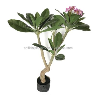 China Wholesale Good Quality Eco - Friendly 120cm 36 Tall Leaves Potted Flower Plumeria Bonsai Trees for sale