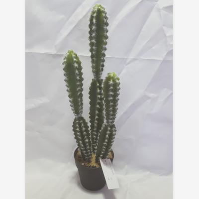 China MOSS manufacturer ornamental bonsai plants, wholesale decorative artificial cactus for sale